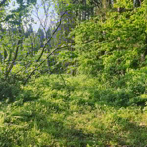 Komoot Thinks This Is A Road by St John