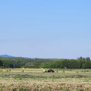 A Scene That Could Almost Be Britain by St John