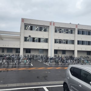 Got To Love How Many Japanese Cycle by St John