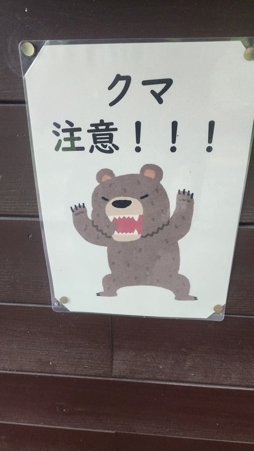 !, Japón