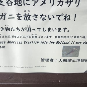 Well, I can't say that was on my to do list anyway by St John