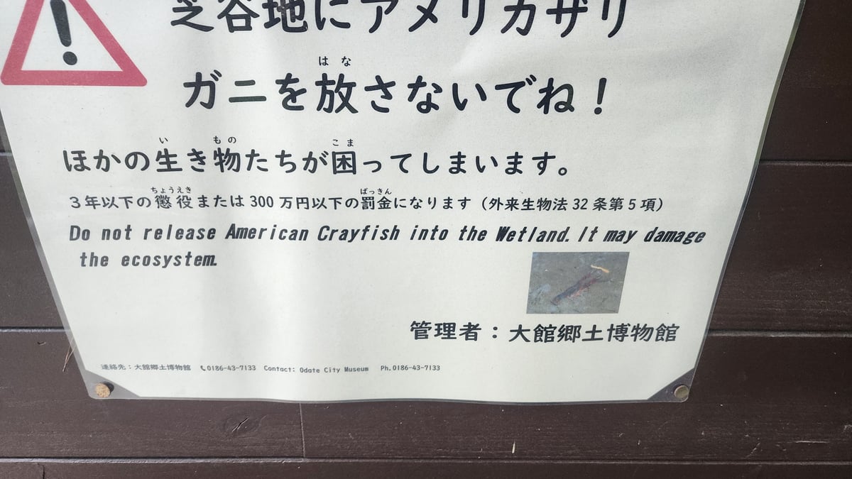 !, Japón