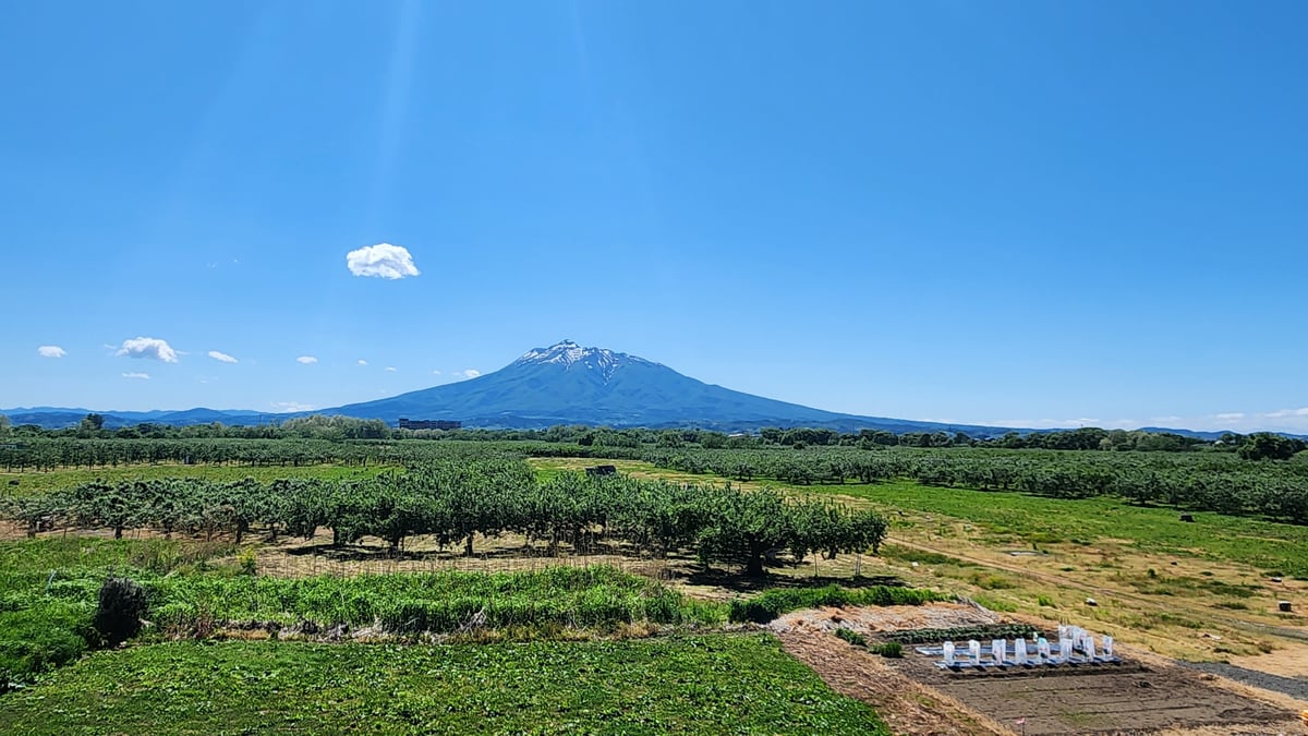 Esas son muchas manzanas, Japón