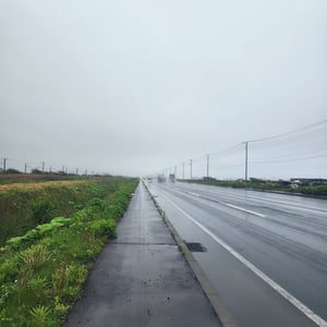 Not Every Day Can Be A Thriller by St John