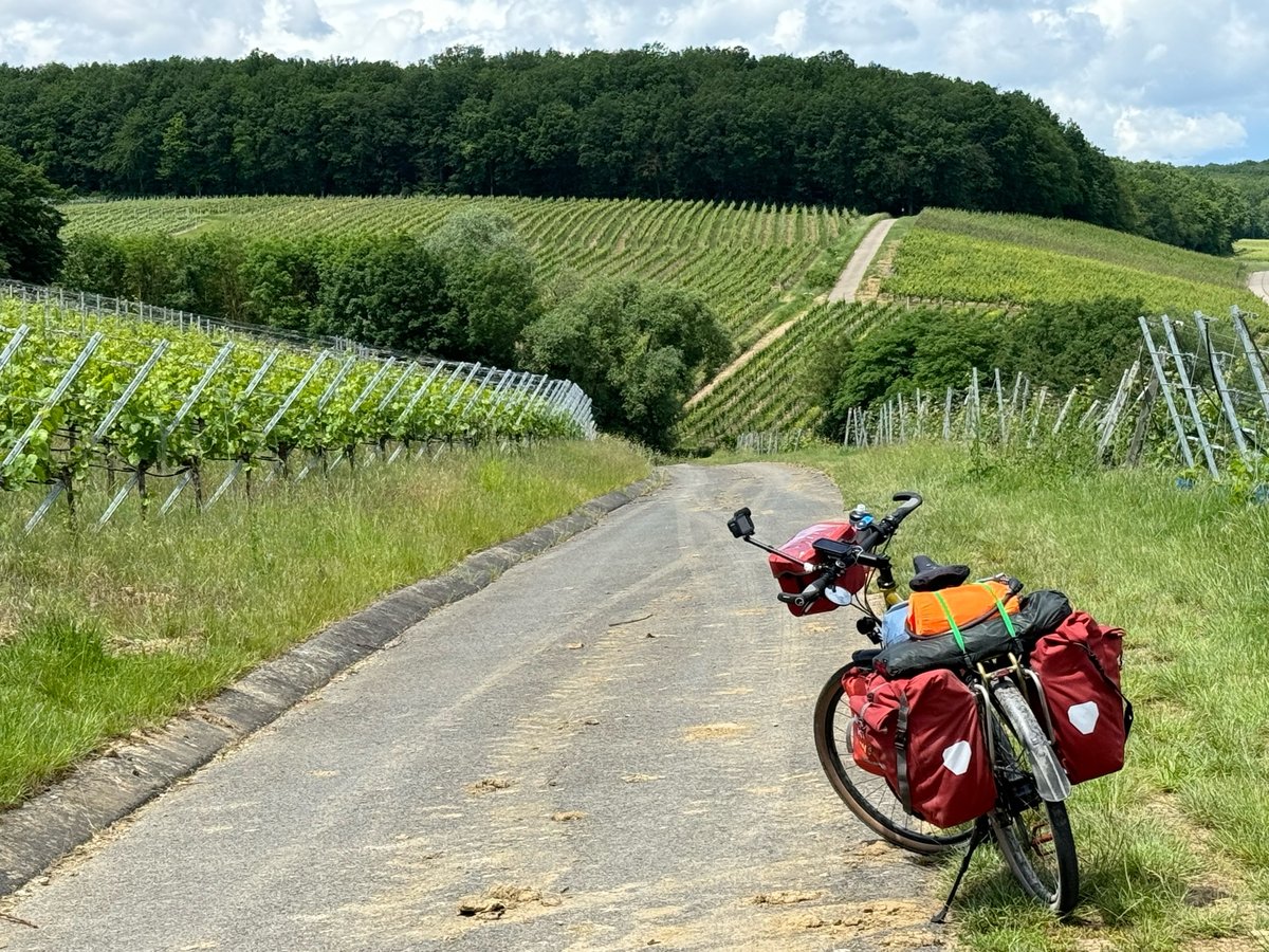 27 mai 2024 - 13h38, Allemagne