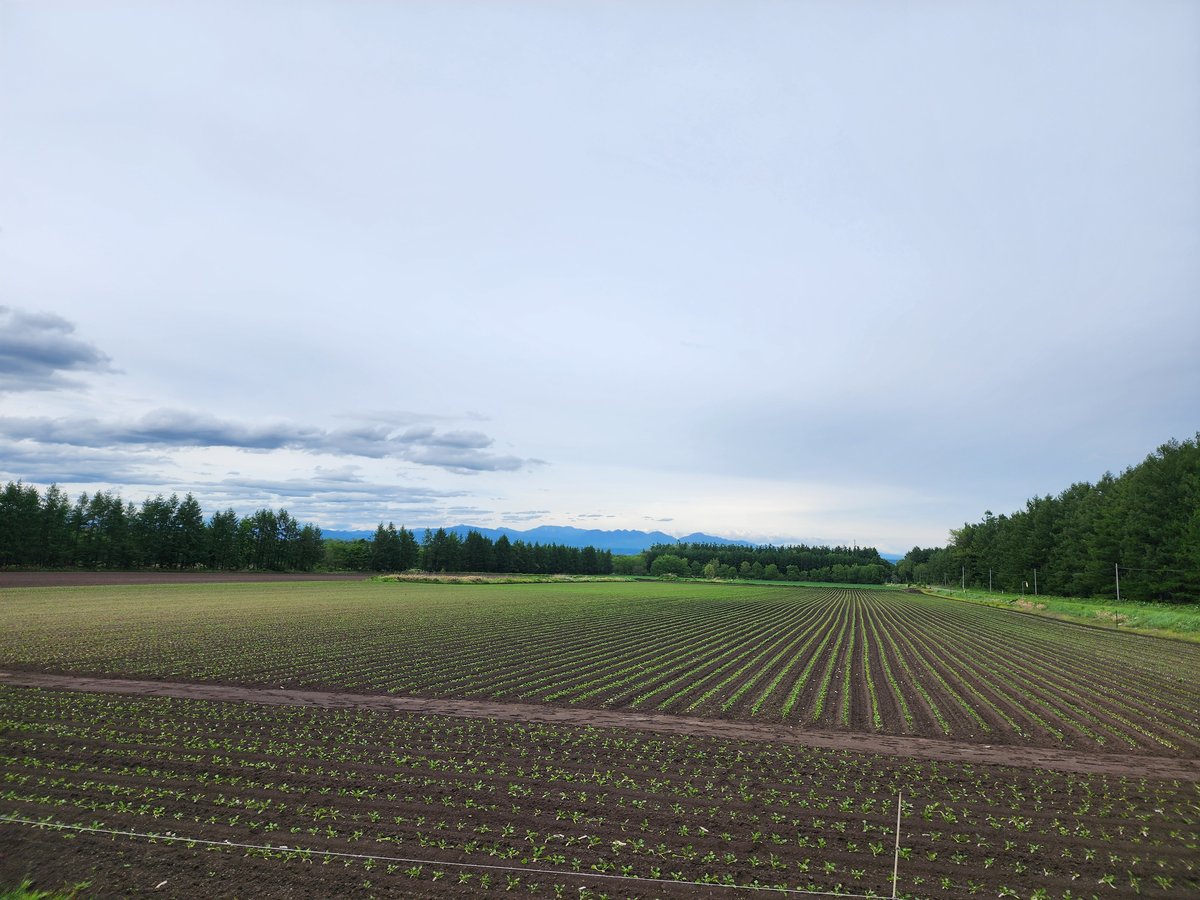 Hokkaido pastorale, Giappone