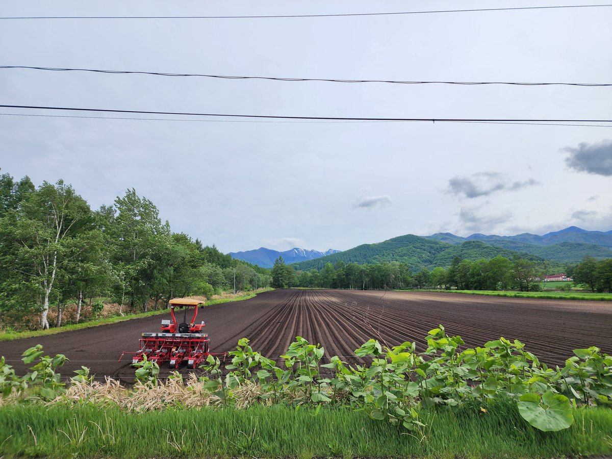 Hokkaido pastorale, Giappone