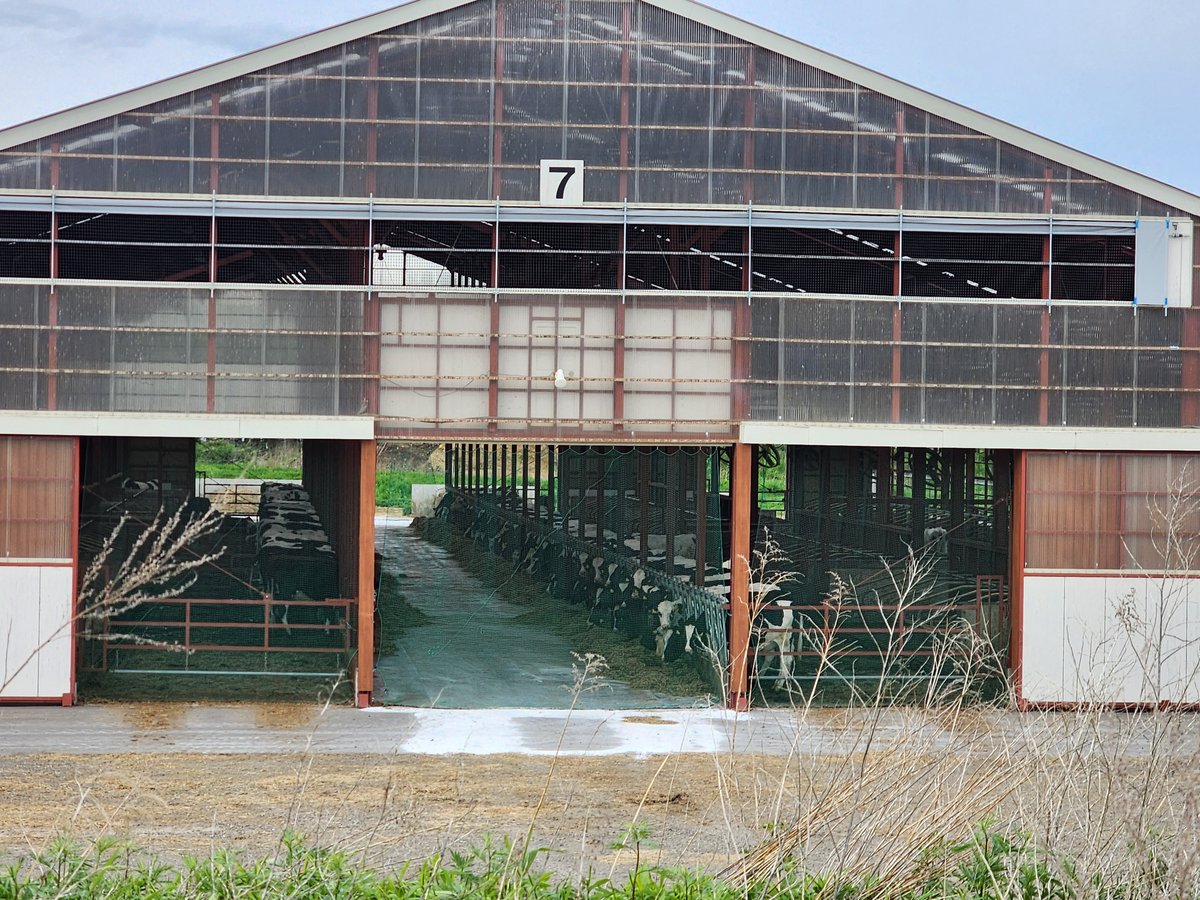 Hokkaido pastorale, Giappone