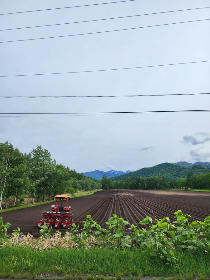Hokkaido pastorale, Giappone