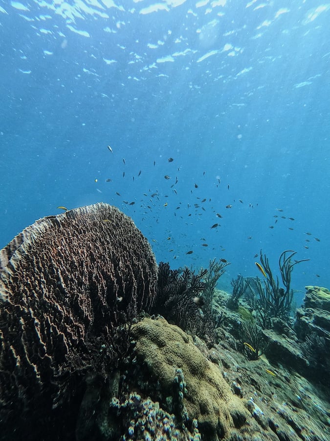 Départ de Tobago, Trinité-et-Tobago