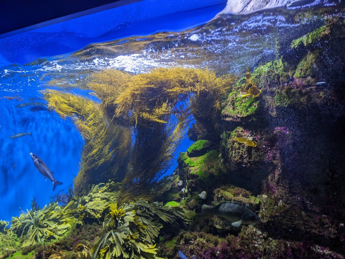 Aquarium, France