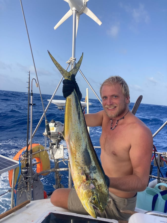 ¡Hemos llegado!, Aruba