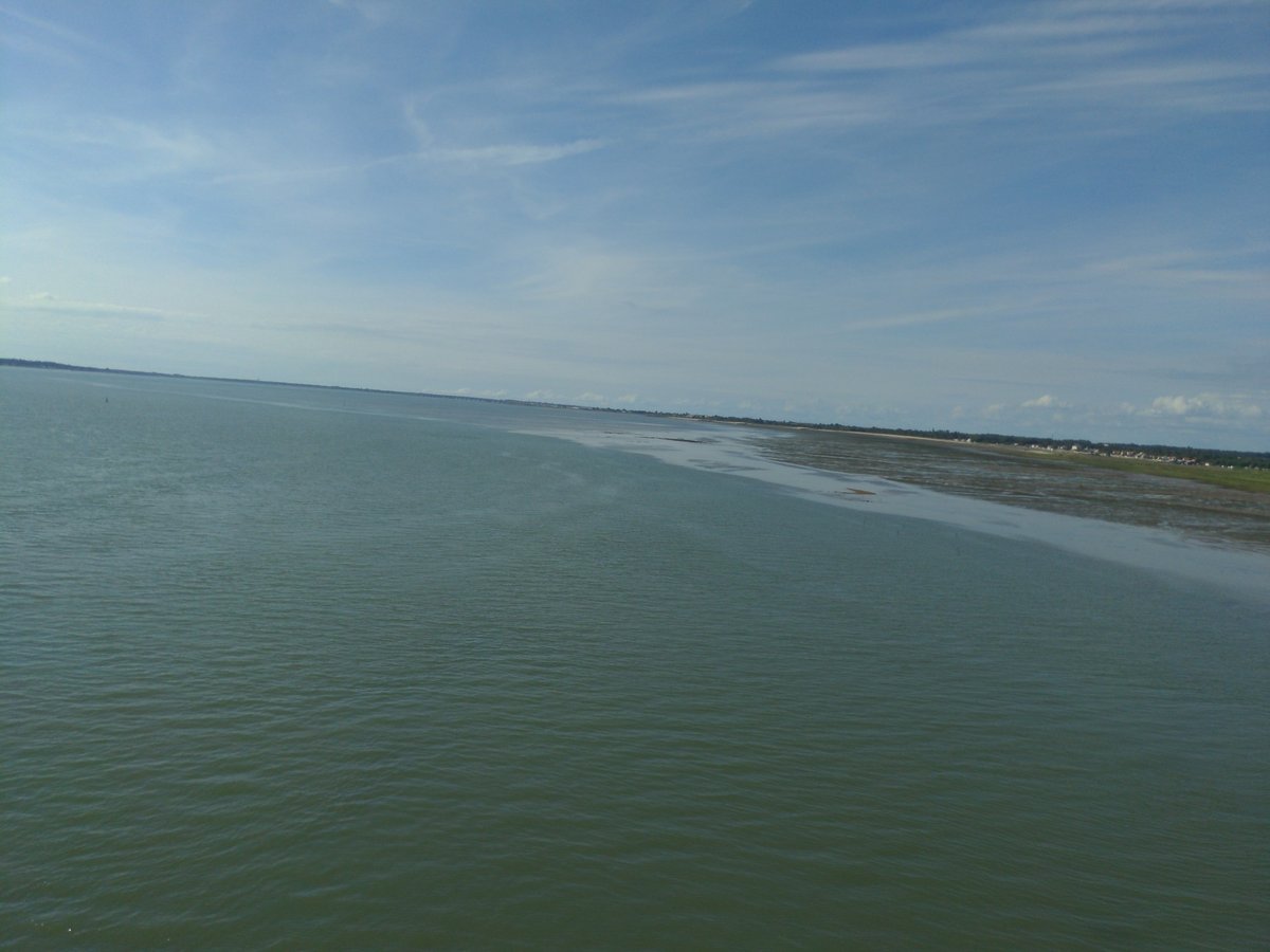 This One Not Do Bad!, France