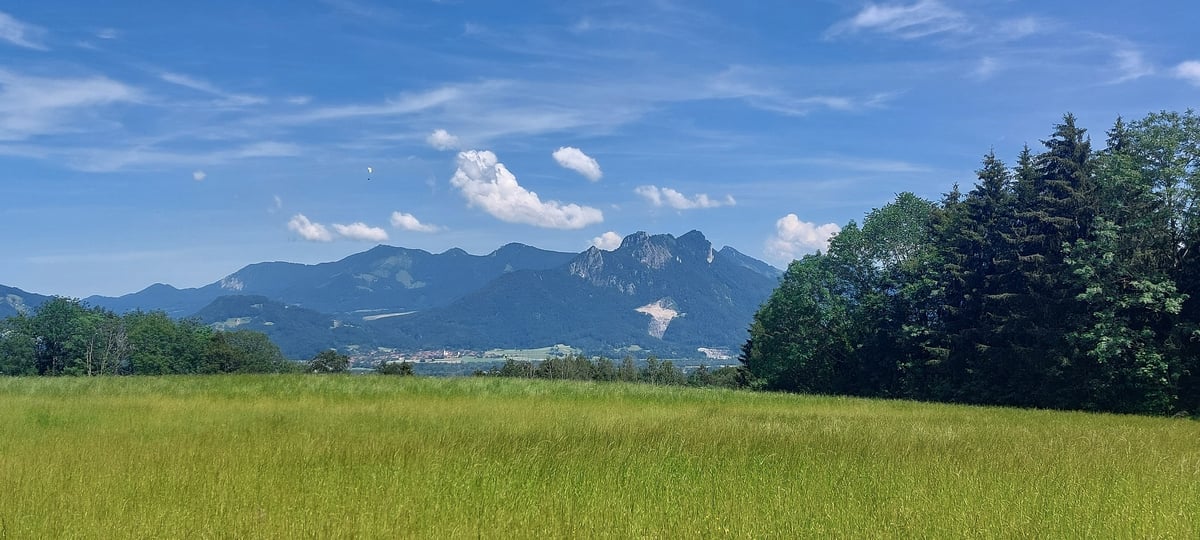18 June 2024 - 12:16, Germany