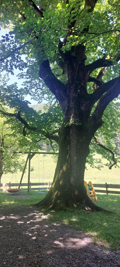 18 June 2024 - 12:16, Duitsland