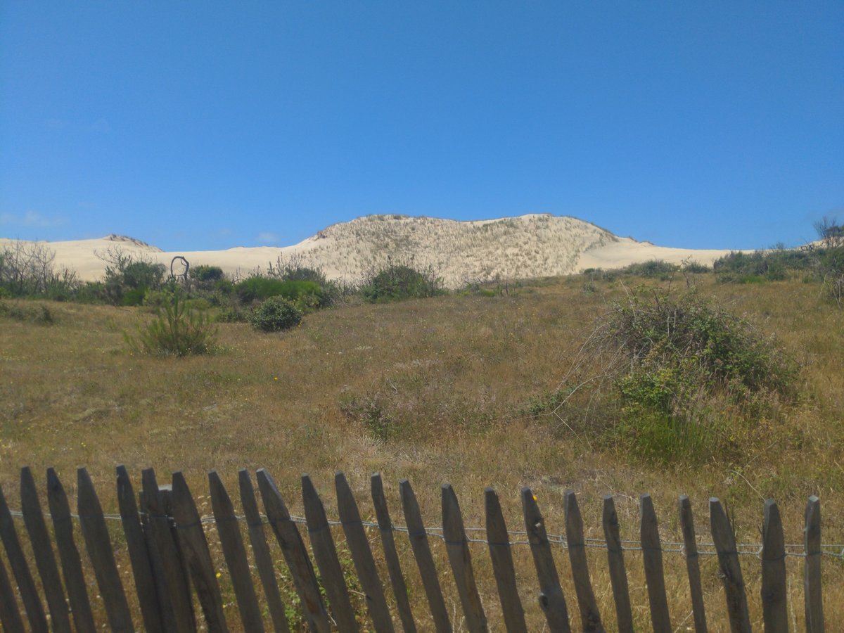 Sanddünen, Frankreich