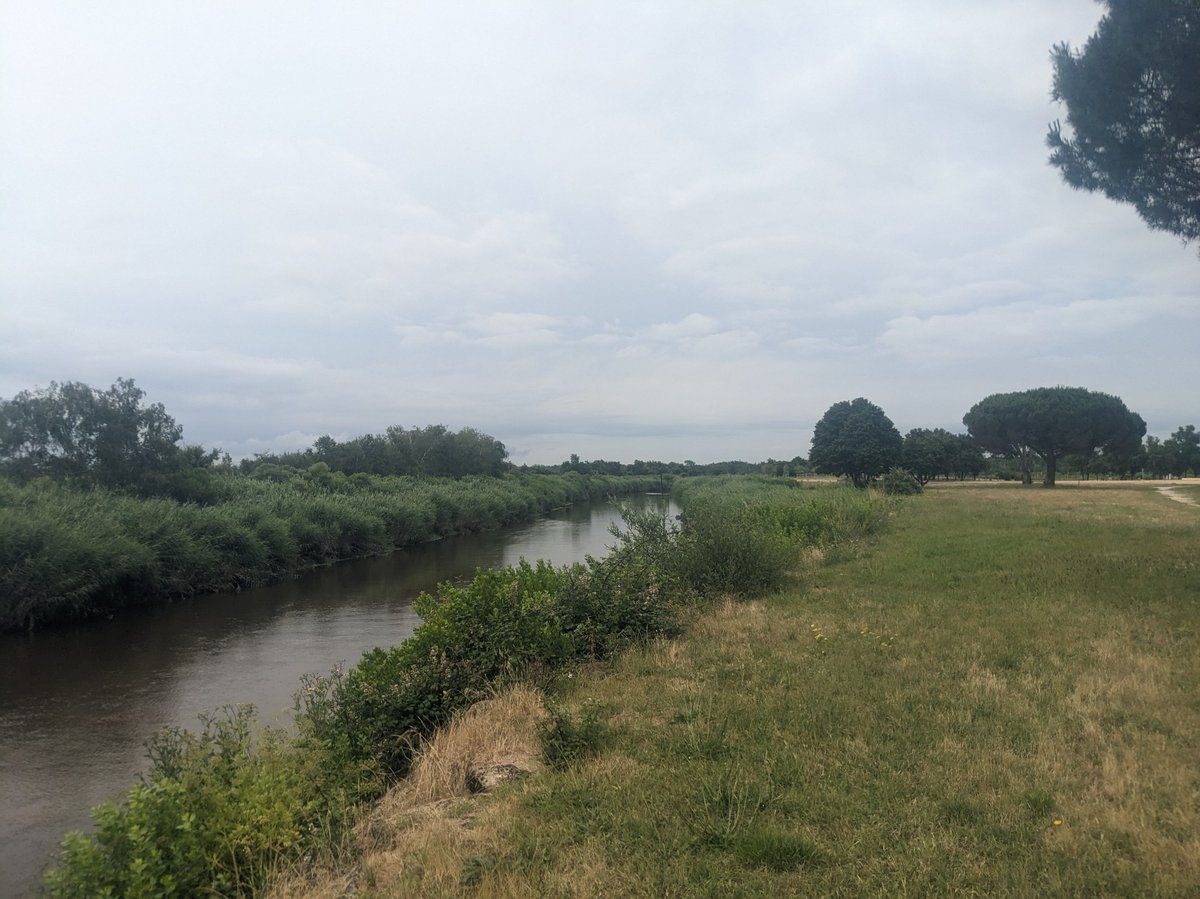 Mittagessen im The Estuary, Frankreich