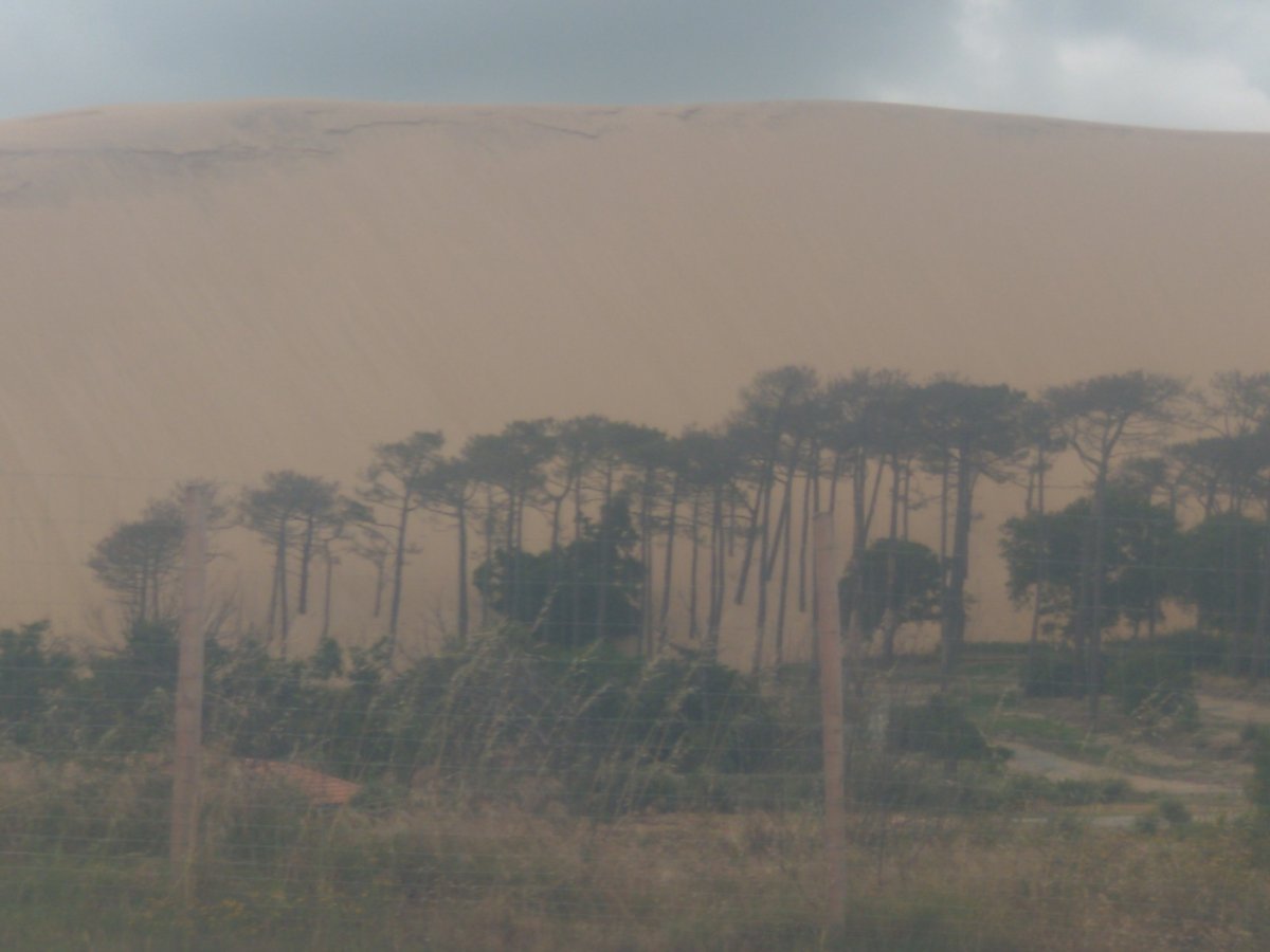 Big Sand Dunes!, France