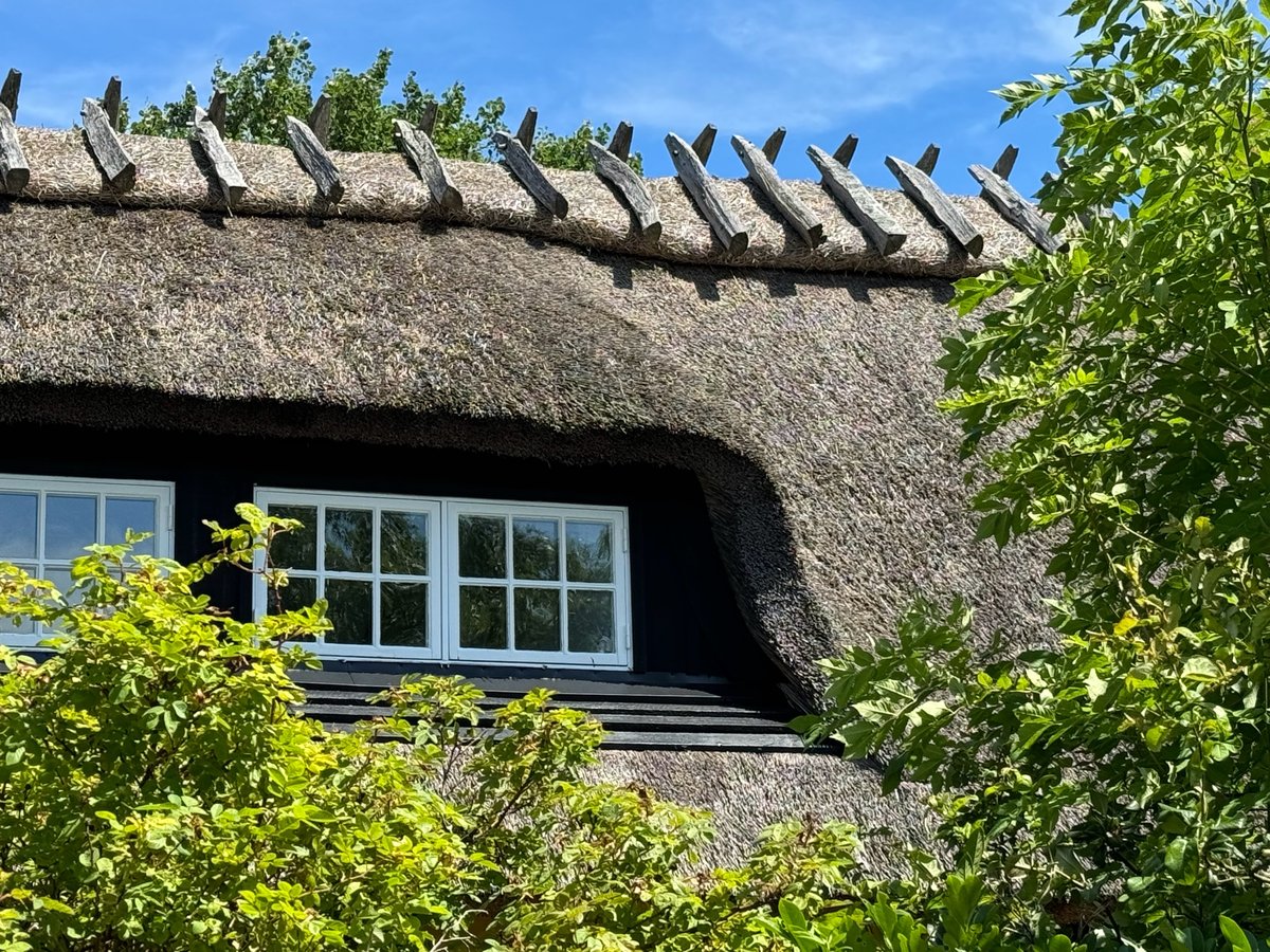 Old Thatch Houses By the Swedish Coast, Sweden