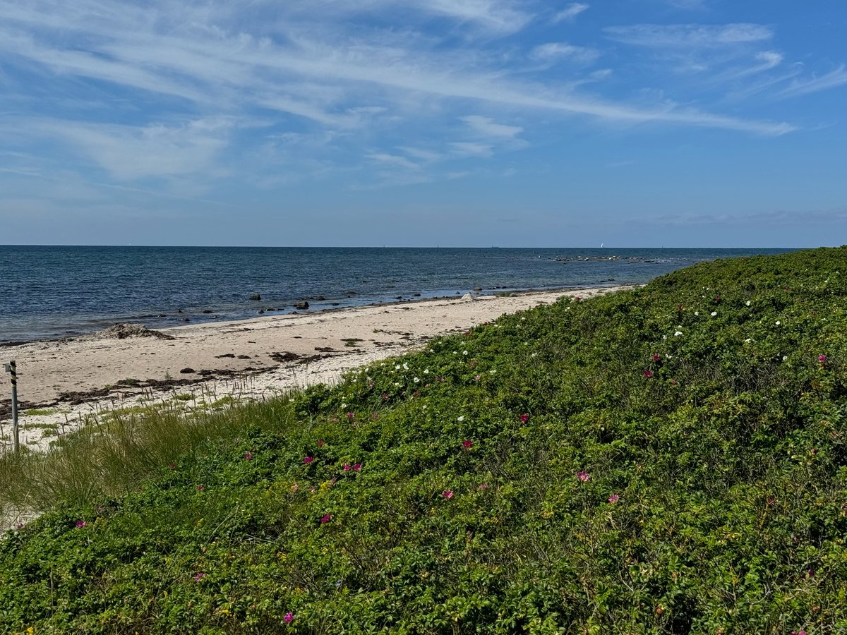 One Of Many Beaches, Sweden