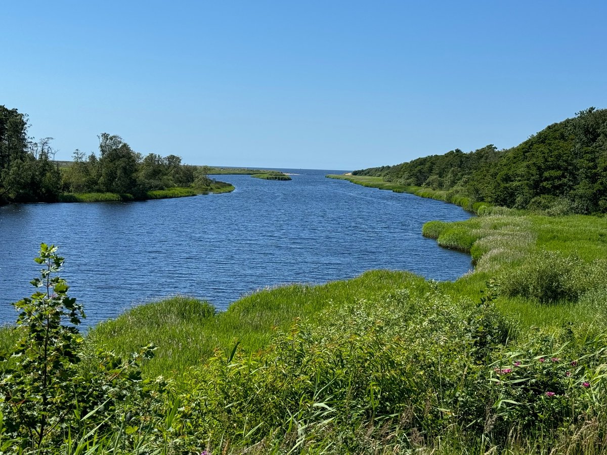 Cheeky Little Beach By Cycle Route 1, Sweden