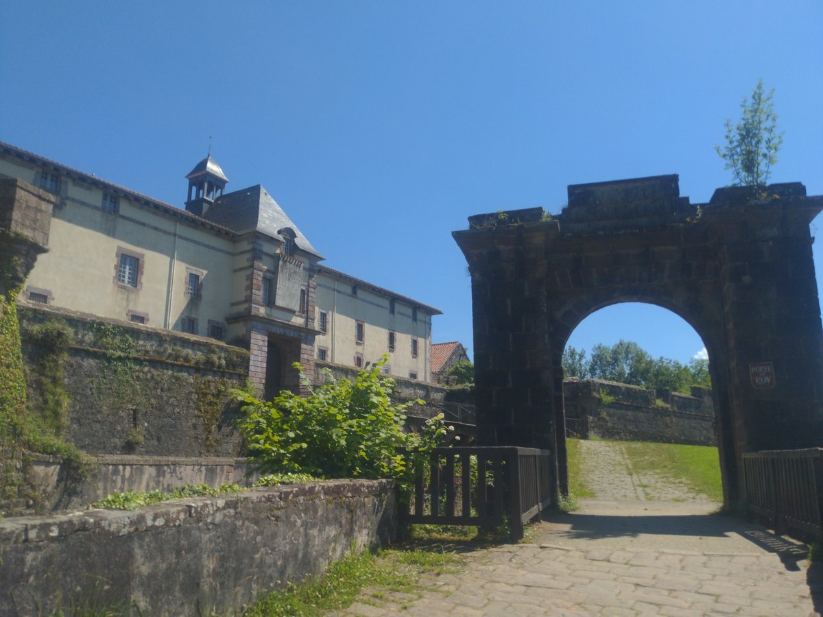 St. Peter Port Gänseblümchen und Burg, Frankreich