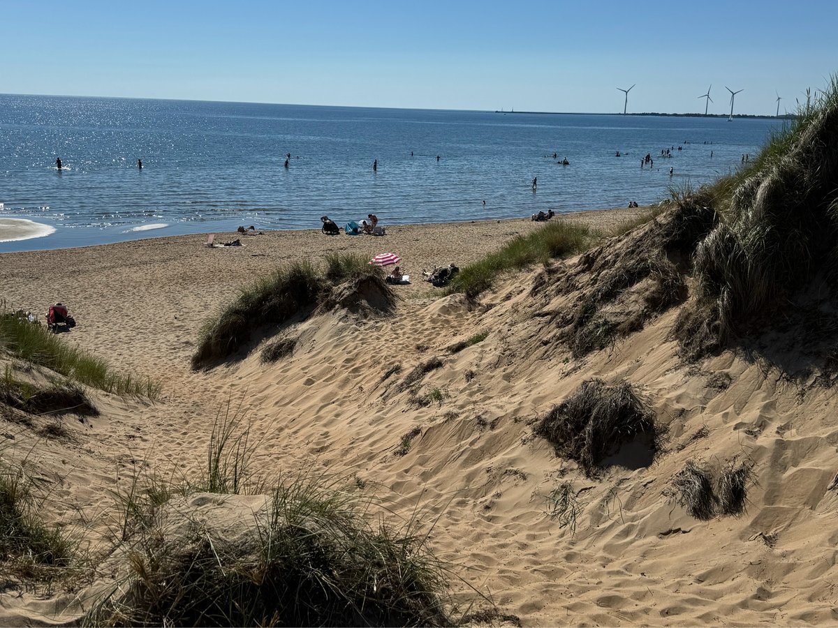 Spiaggia e dune Nesr Falkenburg, Svezia