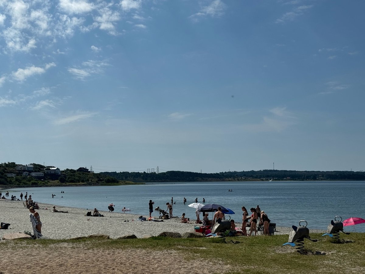 Spiaggia di Brygga, Svezia