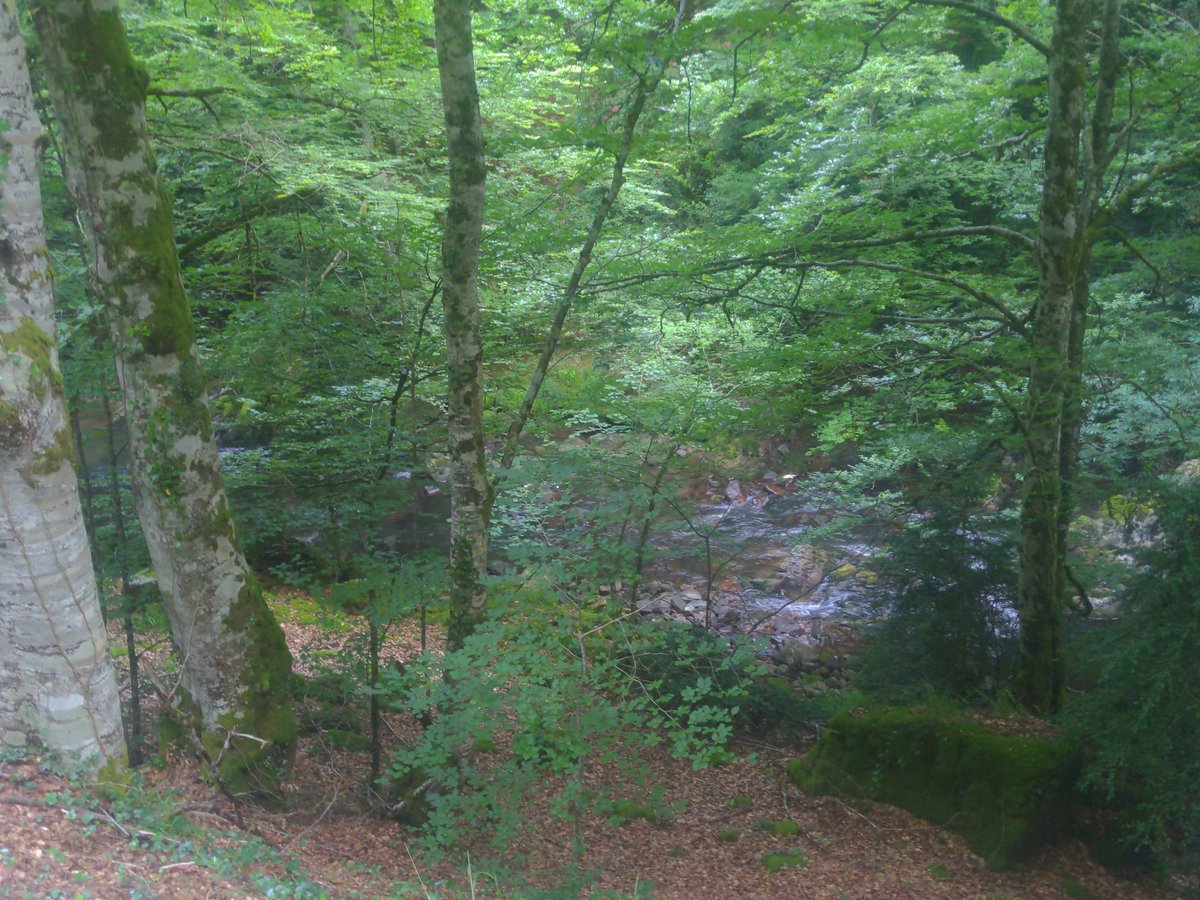 River....Rocks ...., Spain