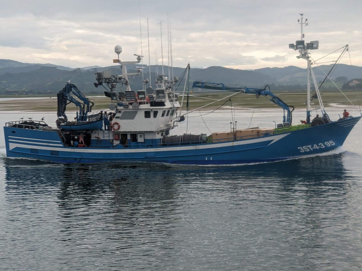 Sardines Fishery, Spain