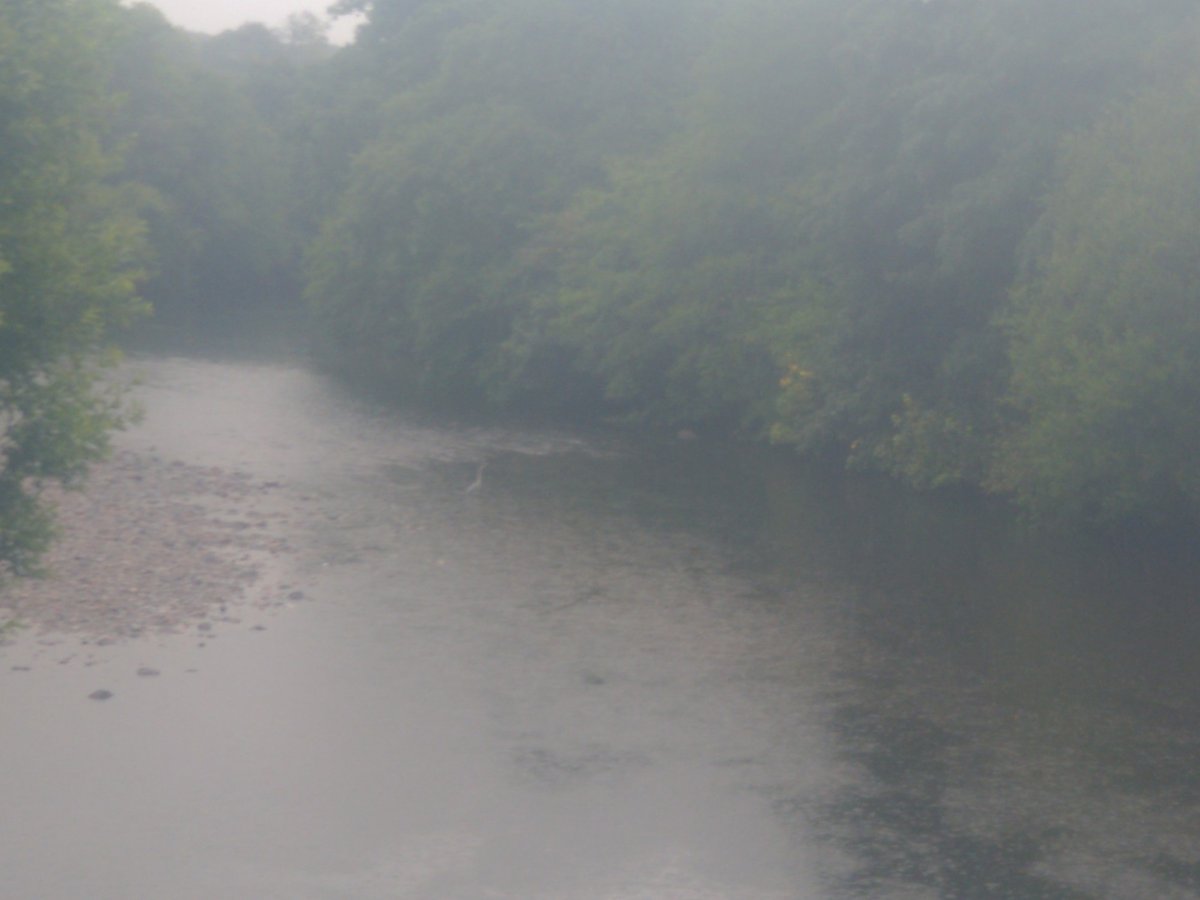 5 July 2024 - 15:01, England
