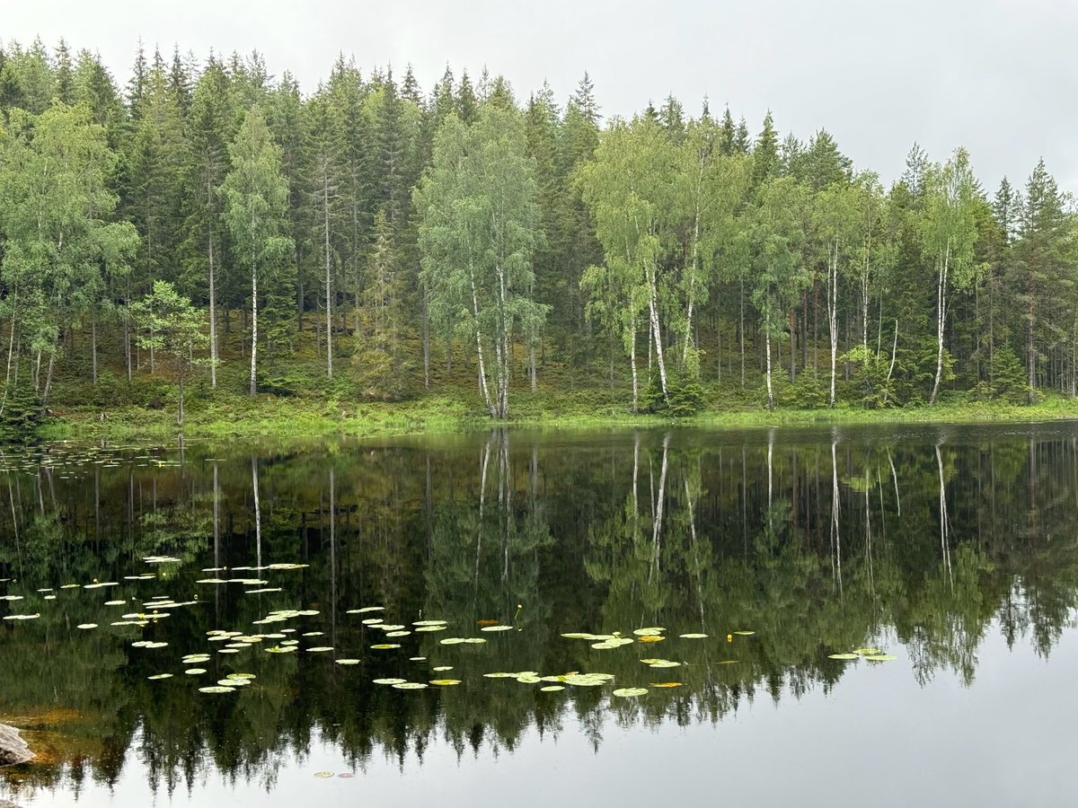 One of the Smaller Lakes, Sweden