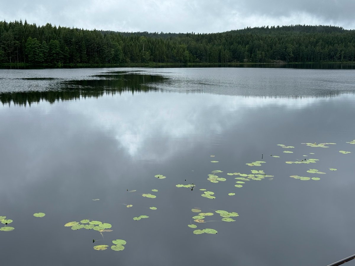 One of the Smaller Lakes, Sweden