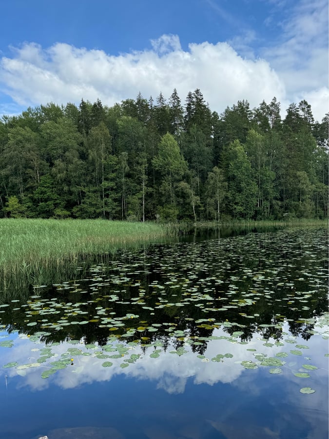 The Photogenic Lake, Sweden