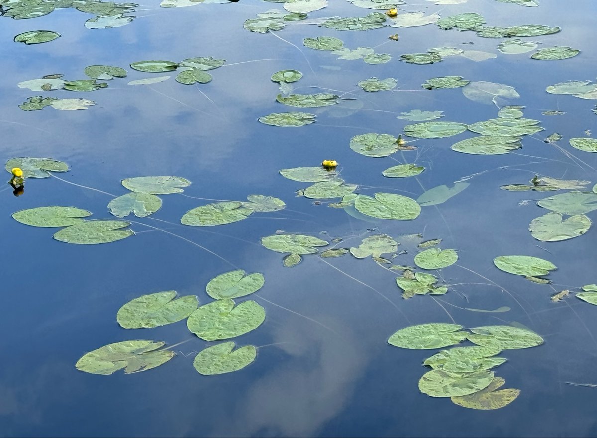 The Photogenic Lake, Sweden