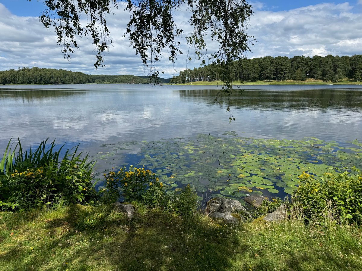 Norwegischer See - Tunevannet, Norwegen