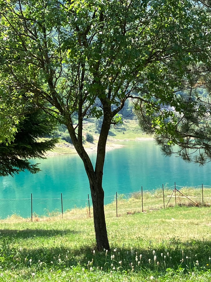 July 11, 2024, Bosnia & Herzegovina