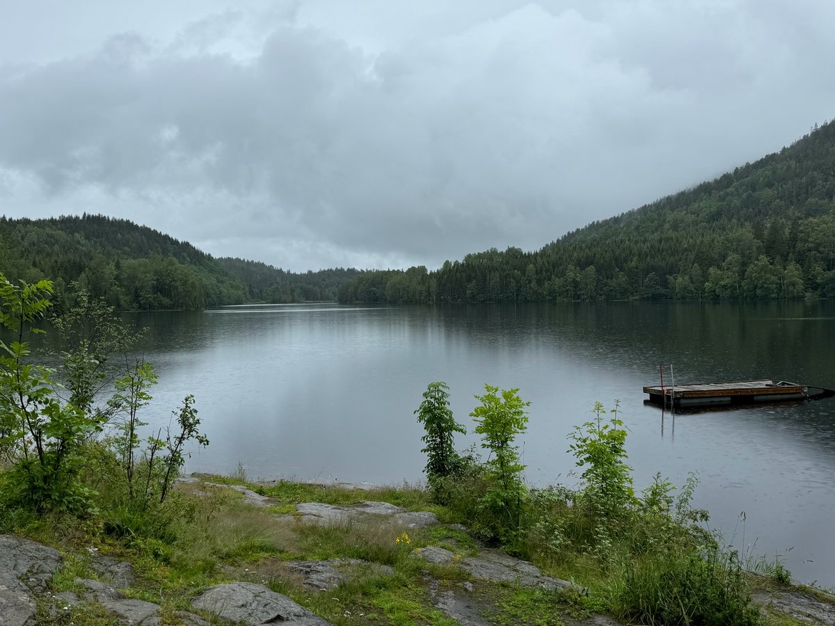 Up in the Forest in the Rain, Norway