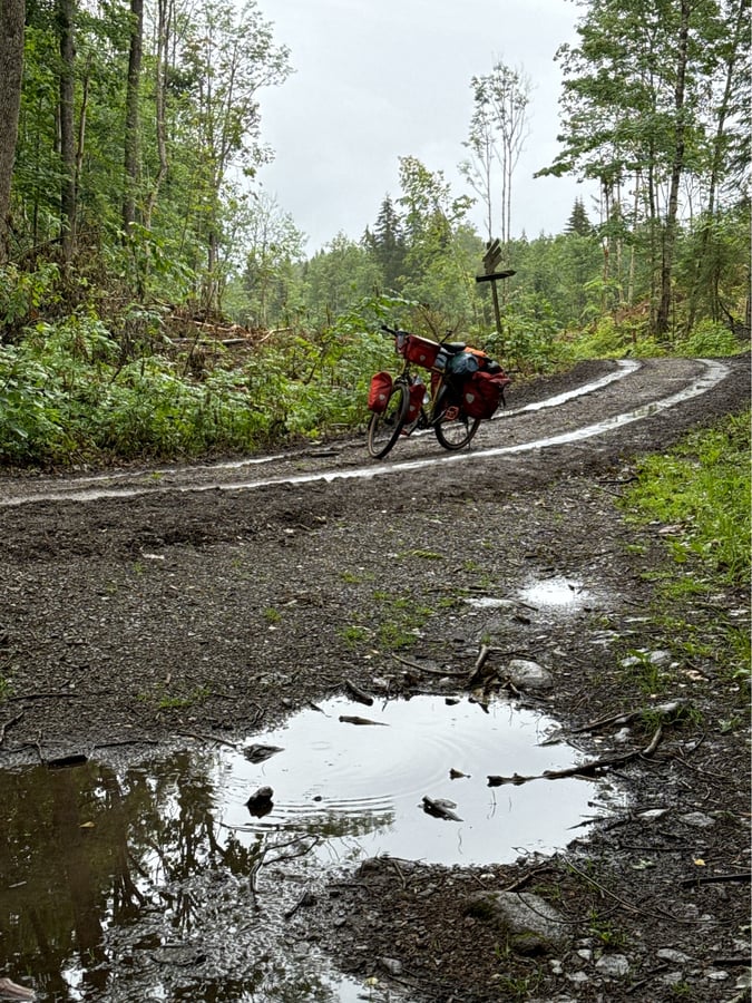 Up in the Forest in the Rain, Norway