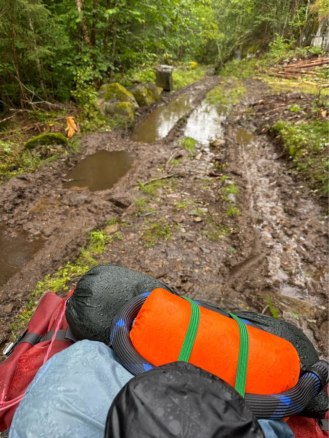 Up in the Forest in the Rain, Norway