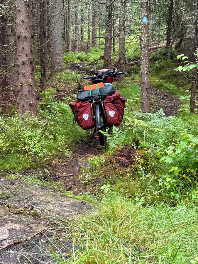 Now It’s No Joke!, Norway