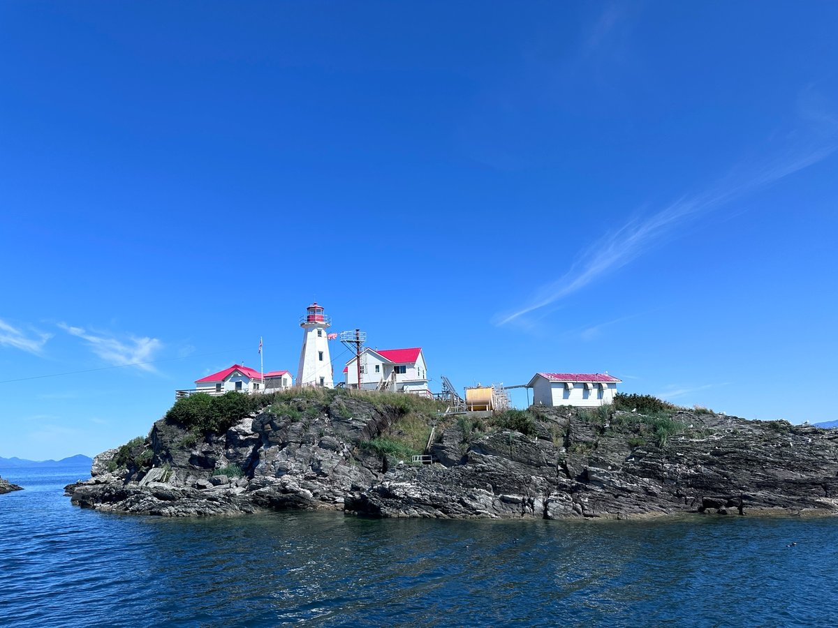 Whale Watching At Prince Rupert, Canada
