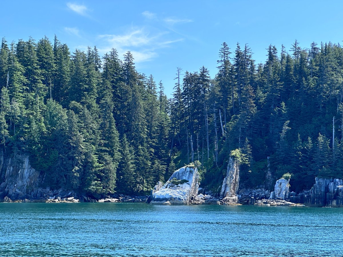 Whale Watching At Prince Rupert, Canada