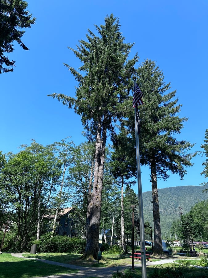 Ketchikan 2, United States