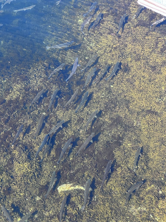 Ketchikan 2, United States