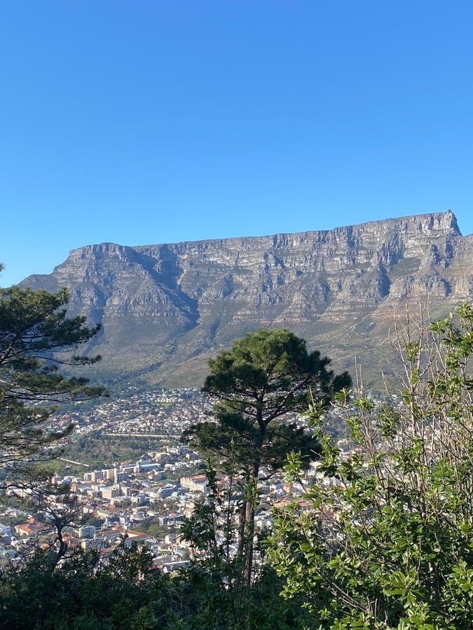 23 Aug 2024 - 15:21, Zuid-Afrika