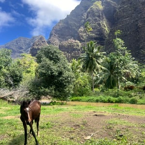 Daniel&rsquo;s Bay by SY