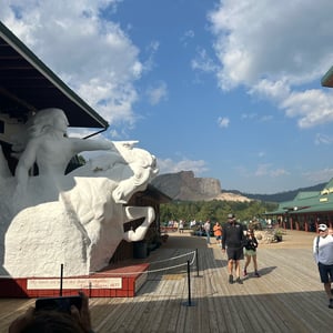 5 Sept 2024 - 16:37 by Matthew