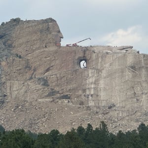 5 Sept 2024 - 16:37 by Matthew