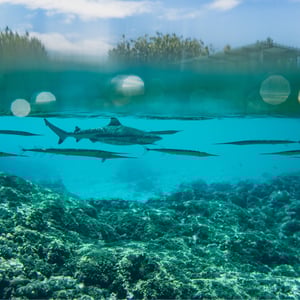 Fakarava South by SY